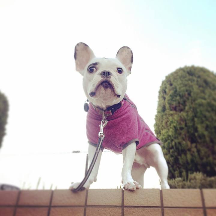 A2551bb7 bfac 4e96 9430 d701d8e63081