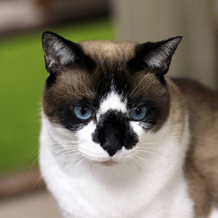 A2552c99 9eec 42c1 ace8 109954bb8f66