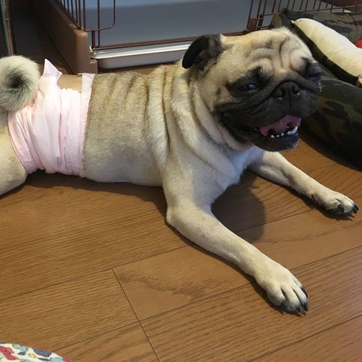 A2558bd2 5594 48c6 b622 aed01fb386af