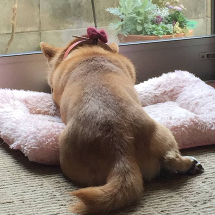 A2559245 625c 4c8a 8573 982ebcaf334d