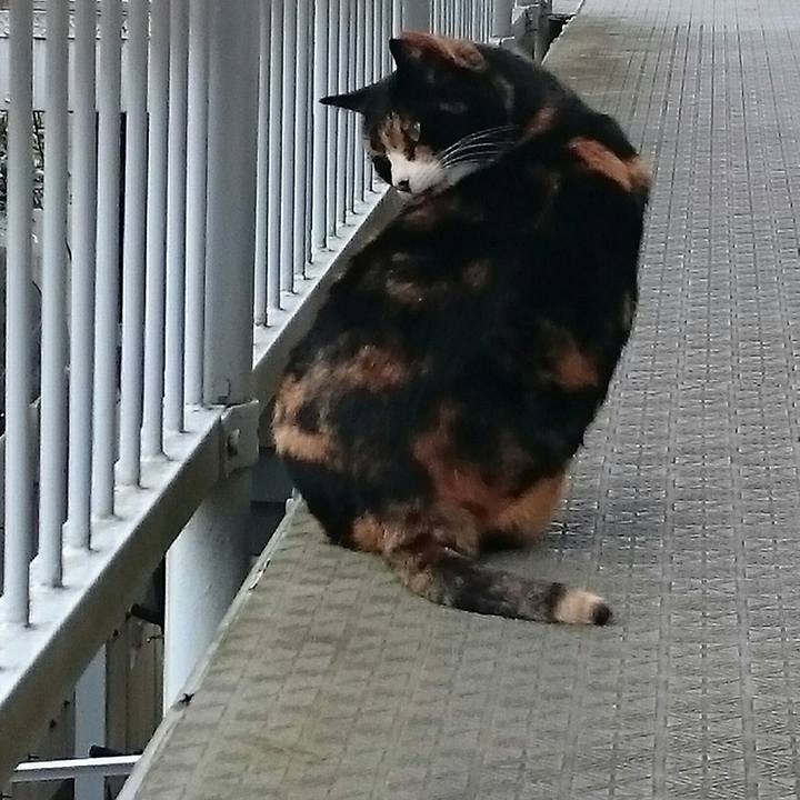 A255aa8a cc57 47f4 b81b 362195e3bc0f