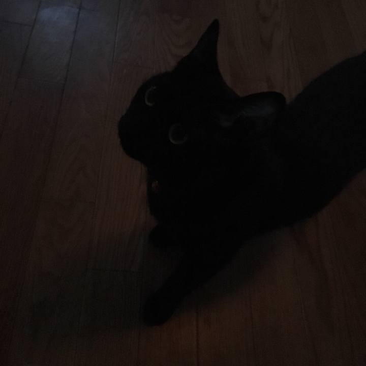 A255e59a 15f9 4000 990a 9015f0599bbb