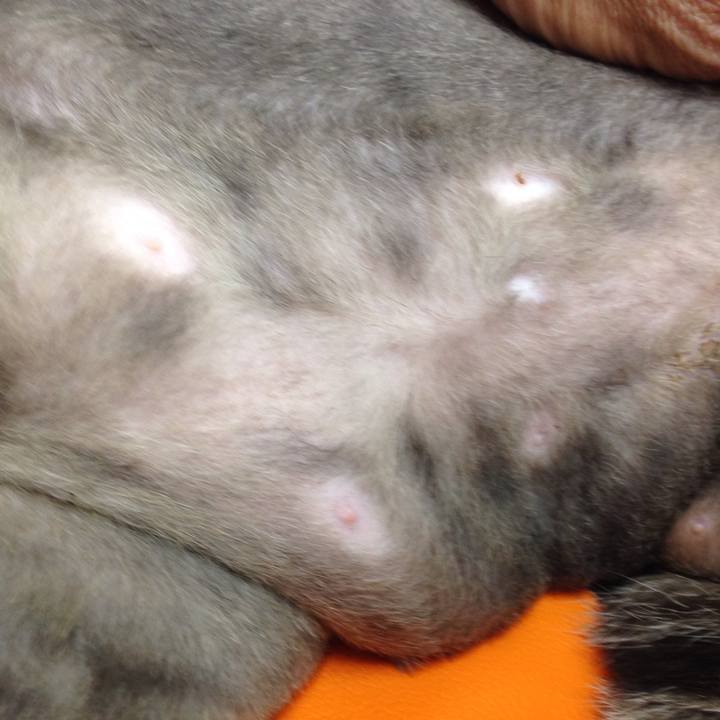 A25600e1 de9d 4225 8fbd b649014eae14