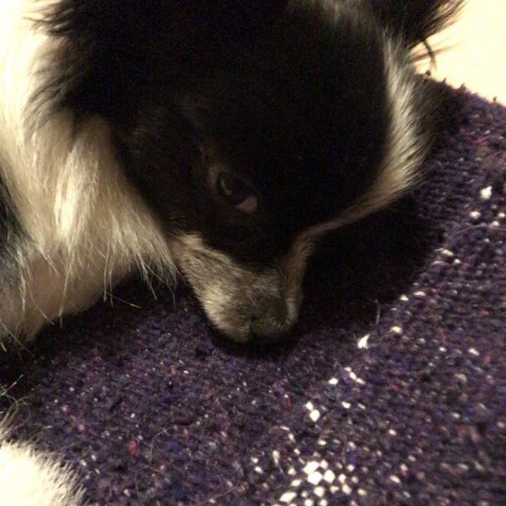 A25626eb 3388 4a68 84c5 8d597dcc656a