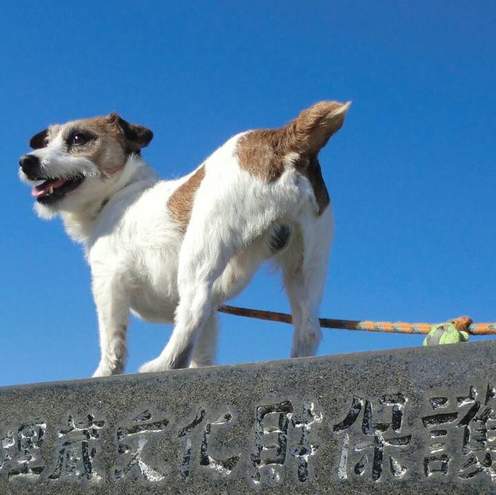 A2572fcd 8e03 4031 b68e 7e7653142ba8