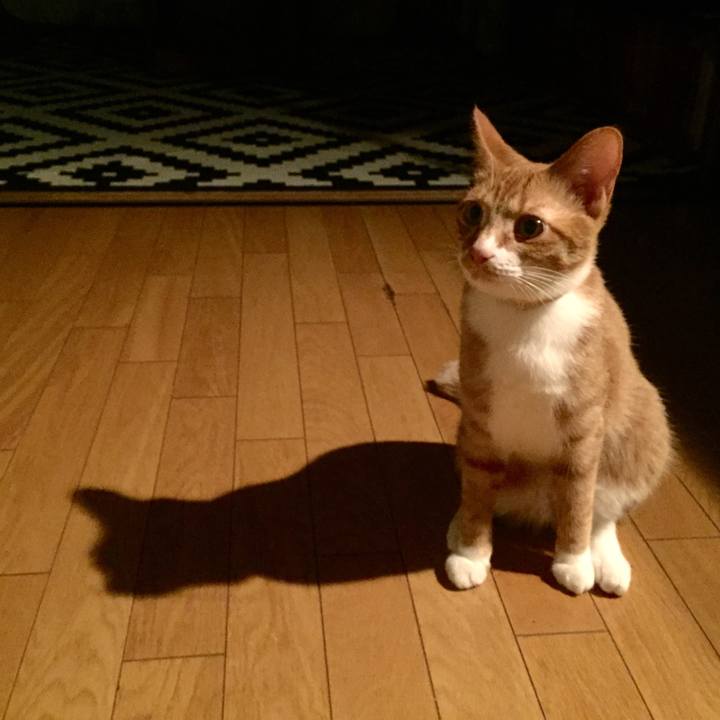 A2579d13 53de 442b ae8f 028cc1850ed8