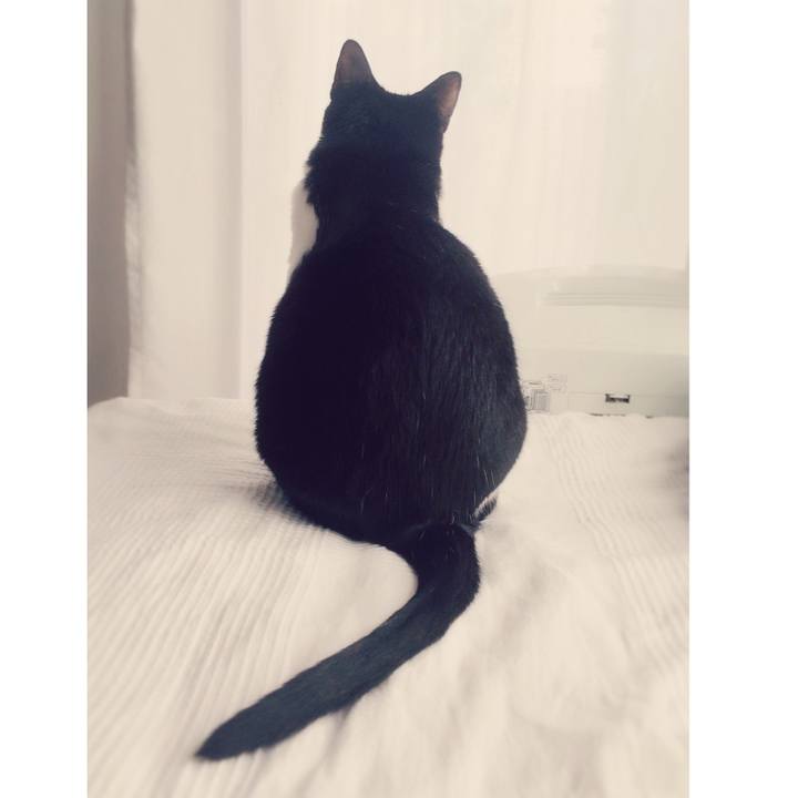 A2589c10 1c37 42d4 b730 b669866911a8