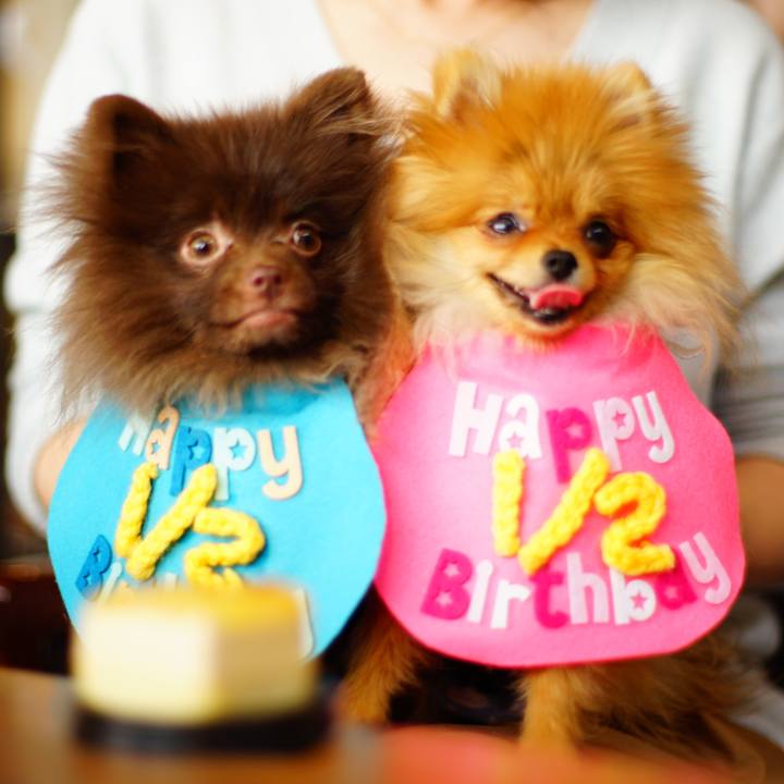 A258bdda f687 4747 aae1 0f5e4882ecdf