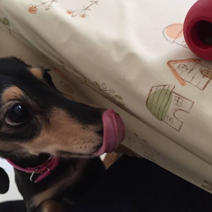 A2598a37 9b2c 491d b116 906021290269