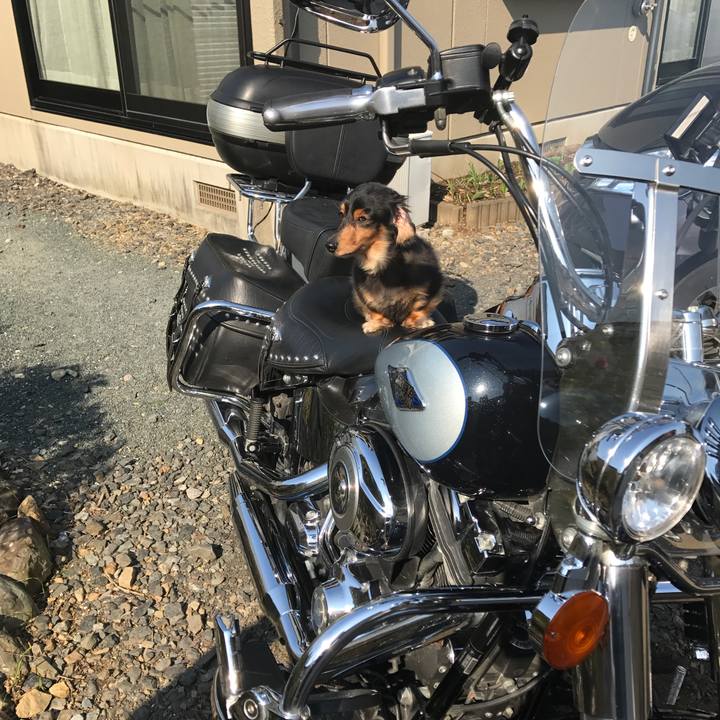 A25a5824 bbf8 4139 97df 4a0624b4bfc7