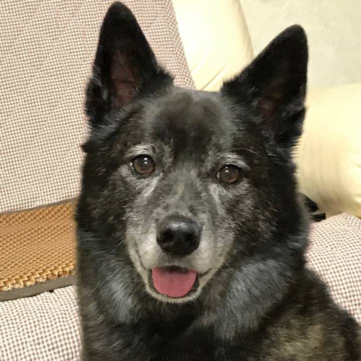 A25a6226 c670 4338 ba8d 5f9d0ea6a206