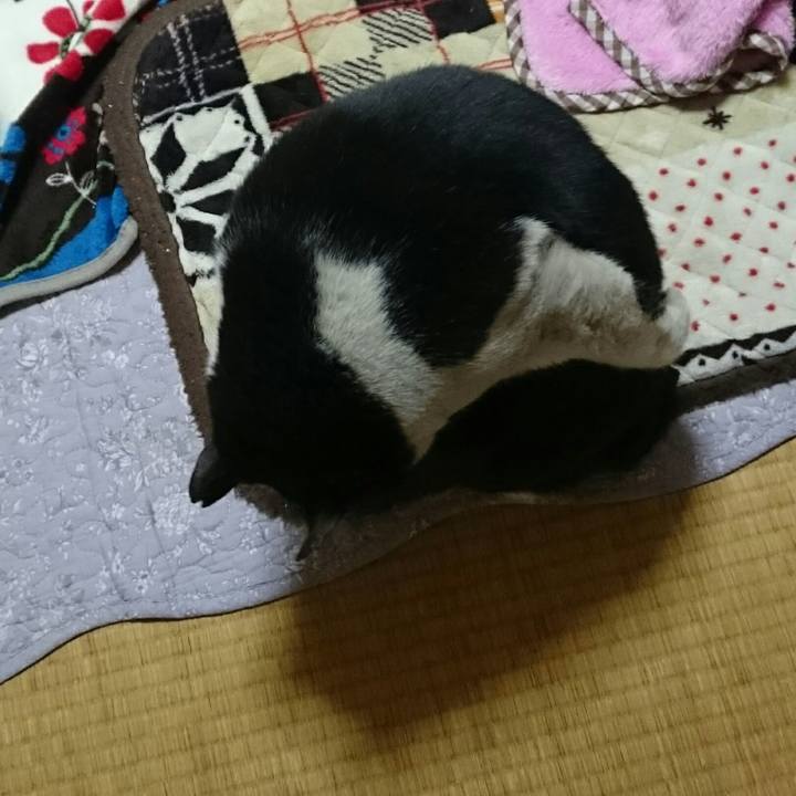 A25b6cc5 3244 4cbc a2cb 26ec90b1e61a