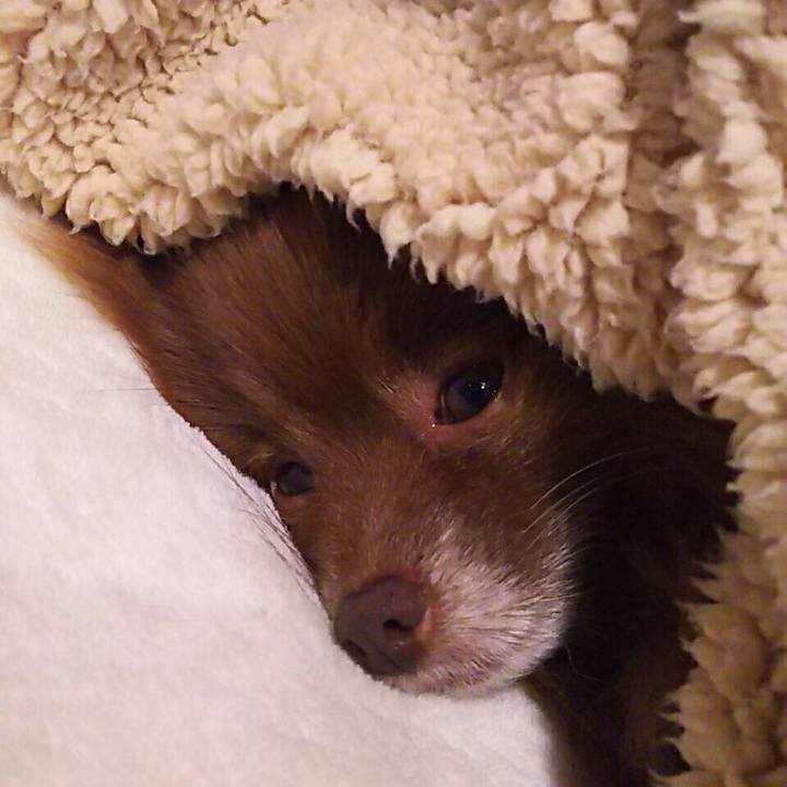 A25b93dd 5c6d 4e88 8f48 976fef7a110d