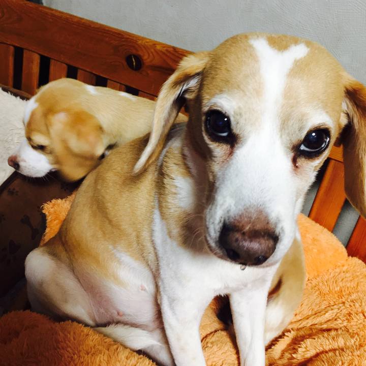 A25bb104 f45f 4464 8e3c 43295523436c