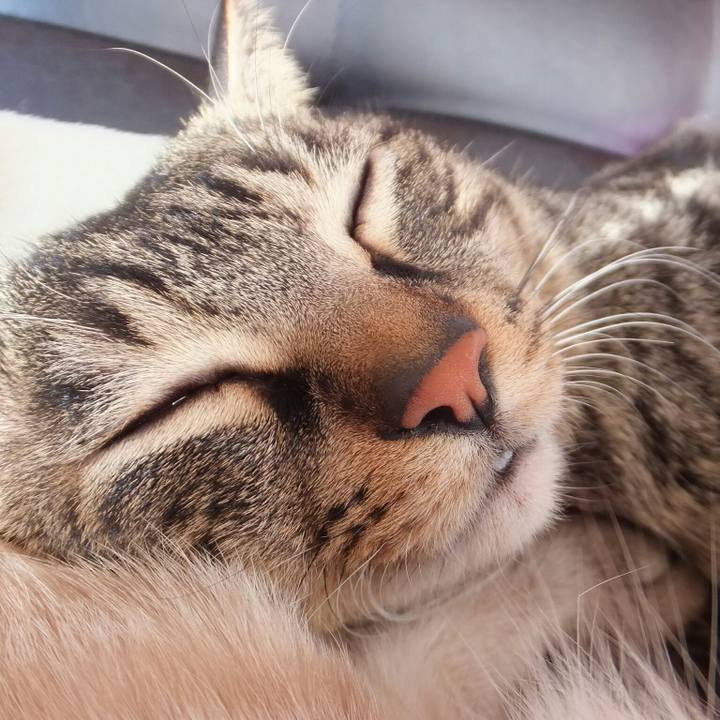 A25bd96e 4fe2 4172 802b 8460047a559a