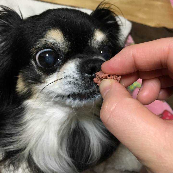 A25c29df 4227 4e80 8519 1adc77dcce8a