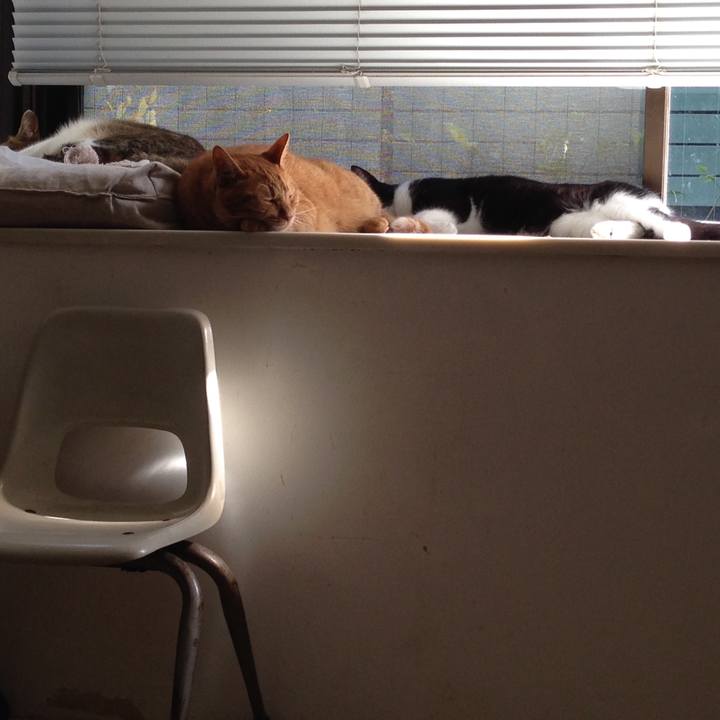 A25cb562 55ae 46e0 9174 4c5f6fa9d6a3