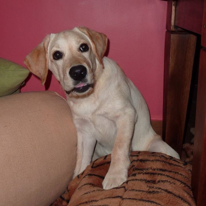 A25cbf73 c9fd 4346 aa49 bec8fd90f154