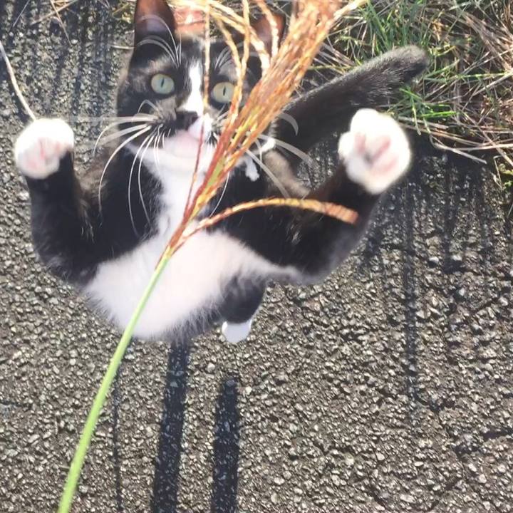 A25cf172 06fe 49f1 82ce 09ae40a8f2c4