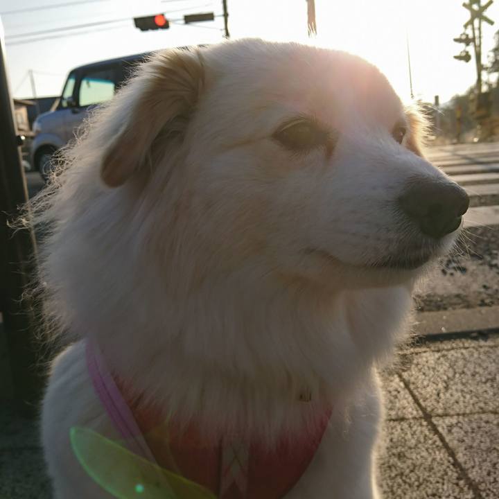 A25dcca6 e6ff 4376 ae0e daaaba90aa96