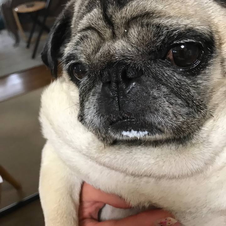 A25ea3b7 5810 4dd0 bd0a eece3f80675b