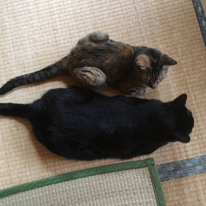 A25ed138 2042 4519 a904 89b757e40122