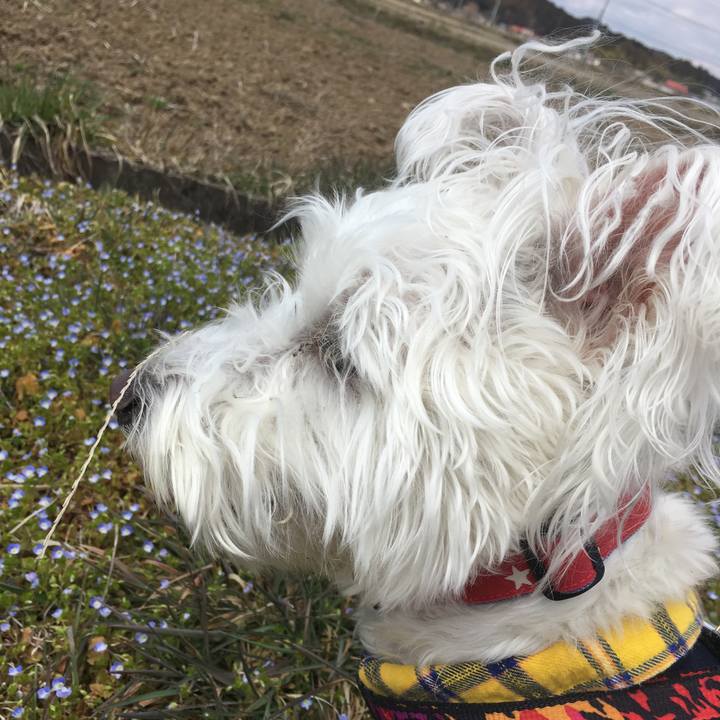 A25f3d02 90eb 4ae2 b773 96ee30276e9c