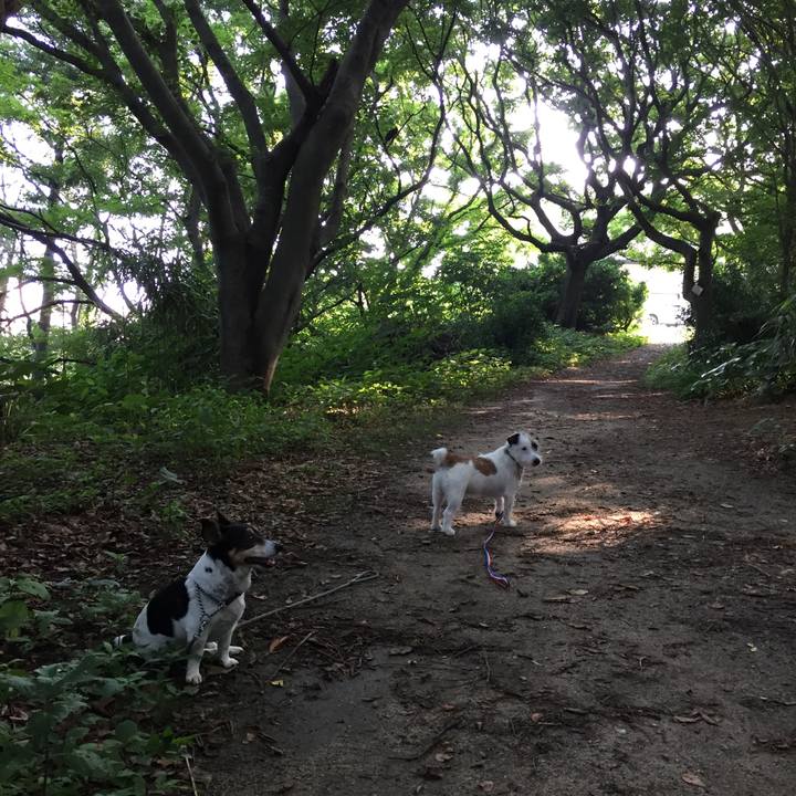 A25f571c 95ba 474b b54e bef3b39feb2e