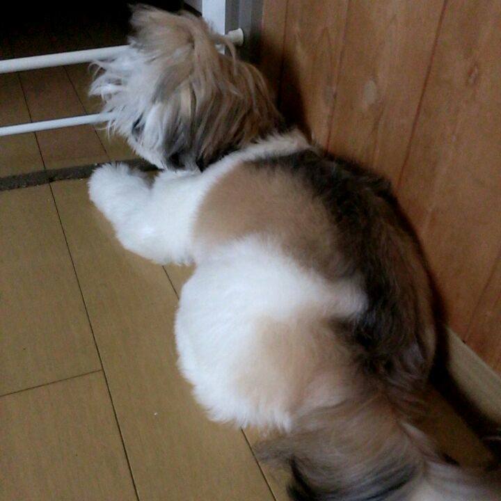 A261201d 657e 4623 b890 a9cb371594b8