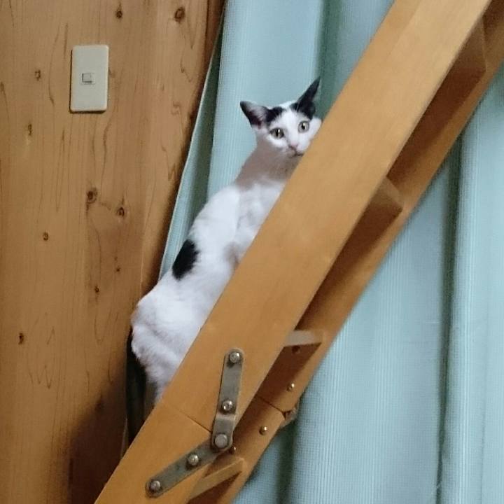 A26123a7 197d 4ca5 a4a0 b0f4134f584e