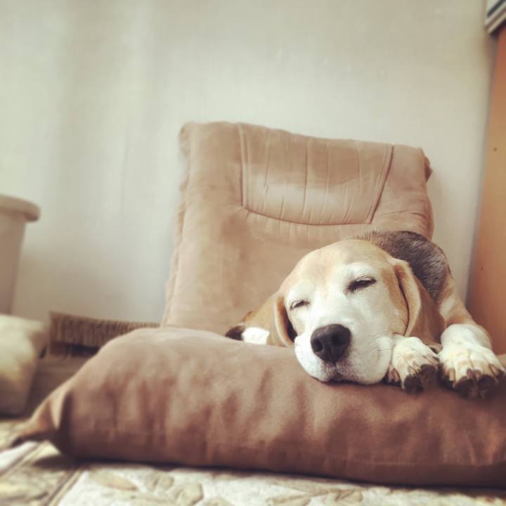 A2623814 cd07 4735 8f38 e4b9211a4d84