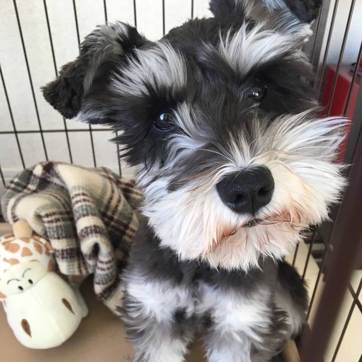 A262bd4a 7d45 4dac 8512 fbcb2a32807b