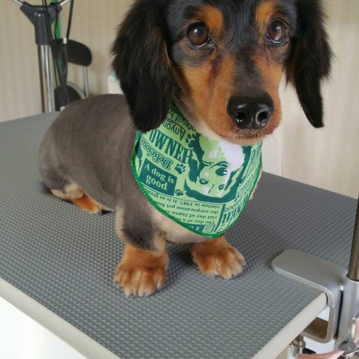 A26374ce ca70 474b 80ef 4e6fa5482de6