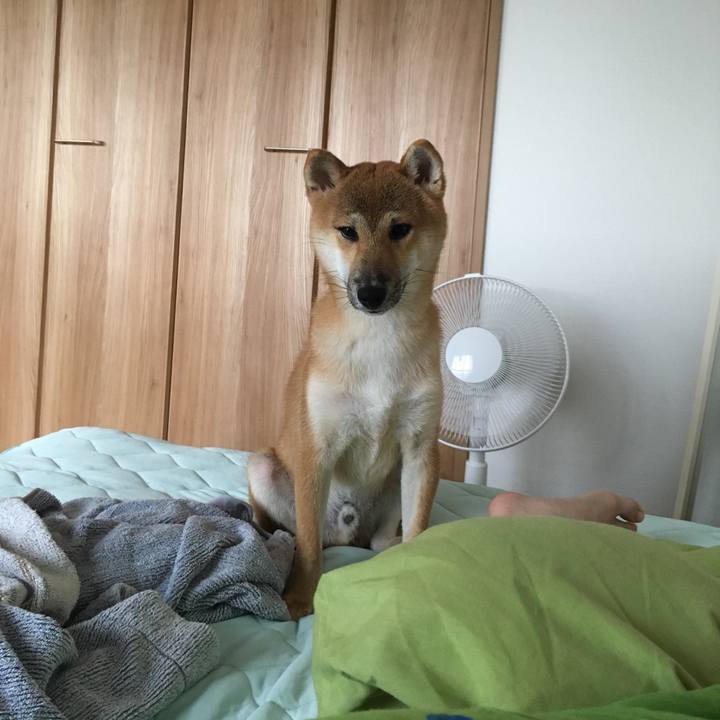 A2650ff6 a54e 41c3 931b 2f1a42fe642e