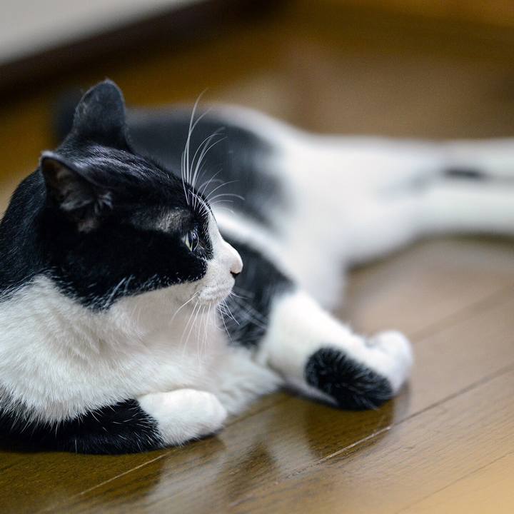 A26515a8 3661 4da1 af3d 6ba8f4f0a5fd