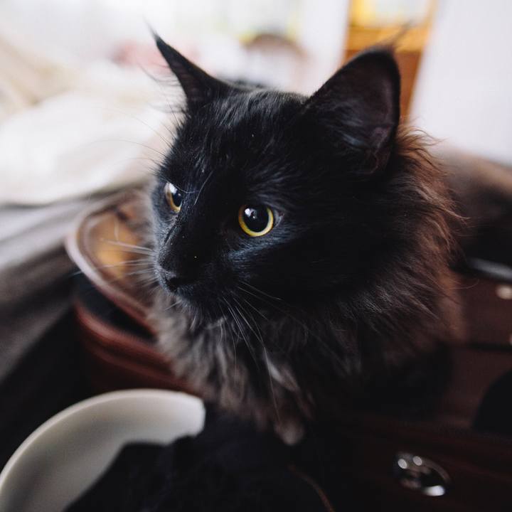 A2652092 4fdd 4de6 9746 0aee7bf5fb44