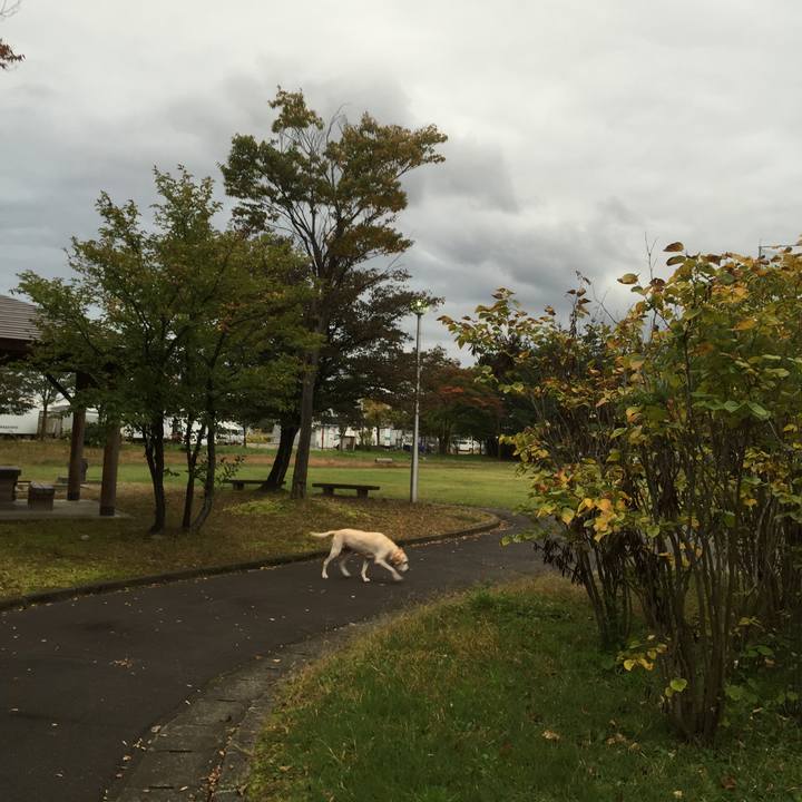 A2654921 0afd 4e8d ba26 3644d8e3b304