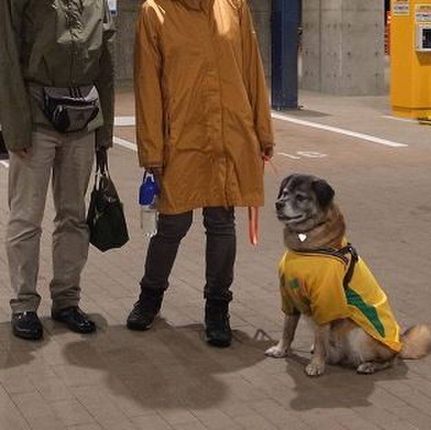 A2658384 0014 4e29 9a5d 3c9510f15c04