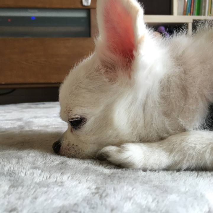 A2667bf4 dd7e 4100 9fba d9aa6286c204