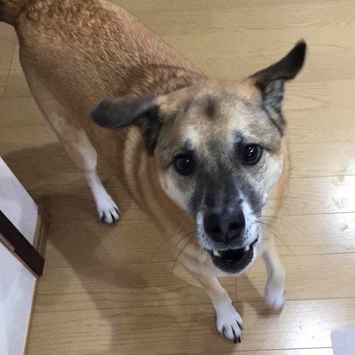 A2669a09 8ccc 4916 b717 203b170a8239