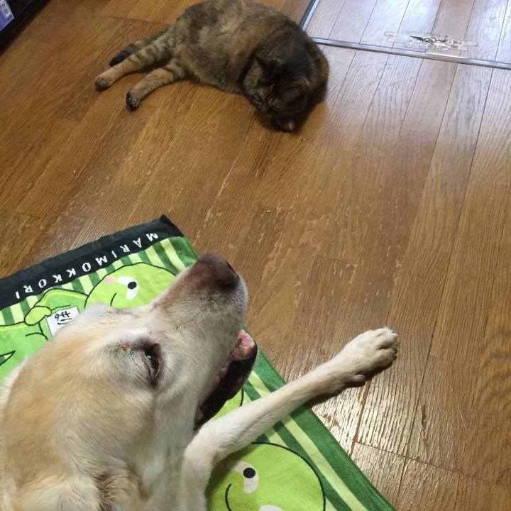 A266ef39 4194 463d aba1 cc4124787d5d