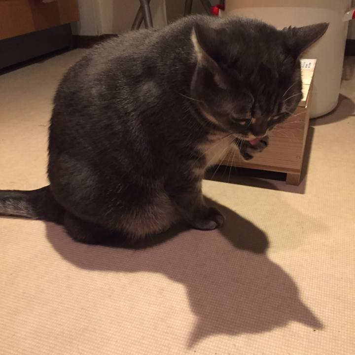 A2674082 7c2c 4a45 9421 b1f71bb74ee6