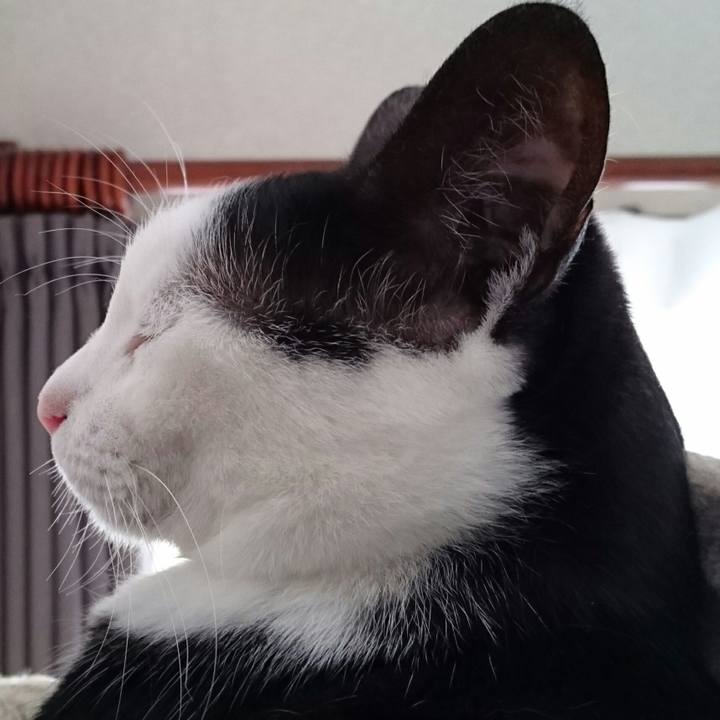 A268b824 e8e4 4f59 aab1 a2cb7bca56da