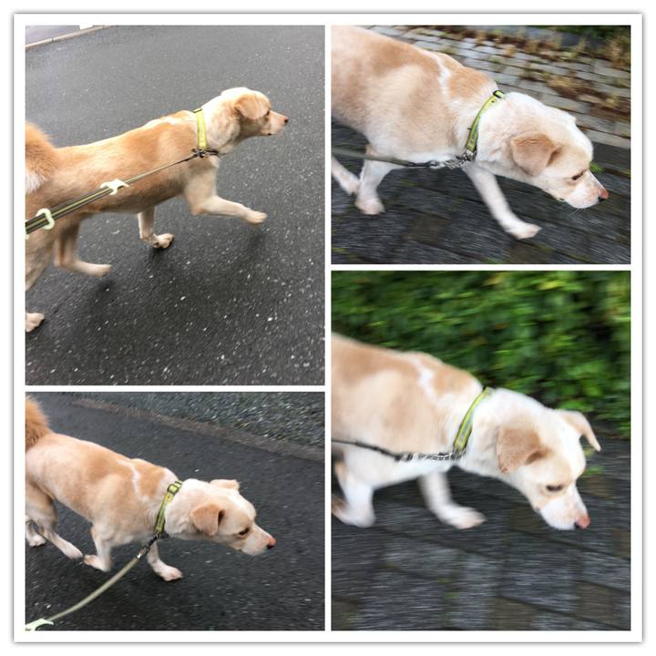 A2693636 5cd6 4bb3 a9d0 32173fbae8f0