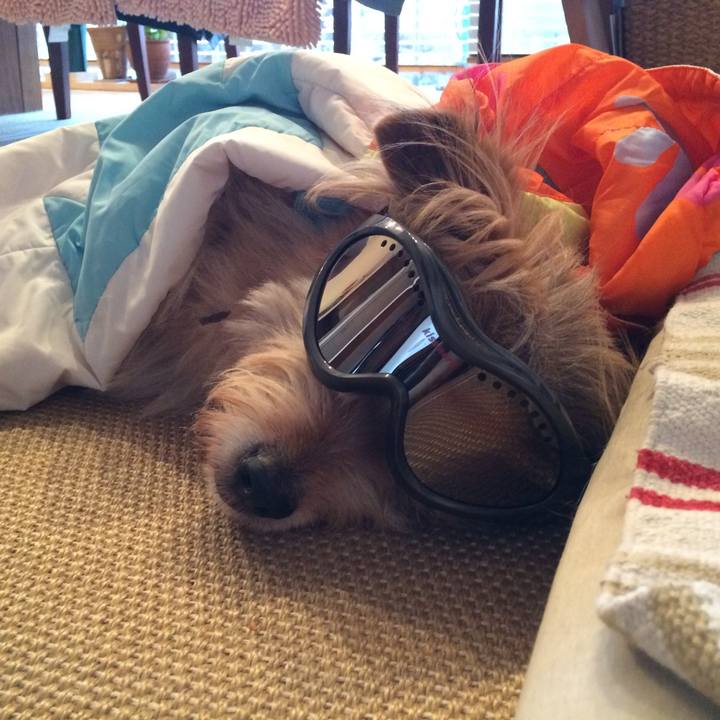 A26a21b8 b7c8 4e9d 81a4 970d0ae40554