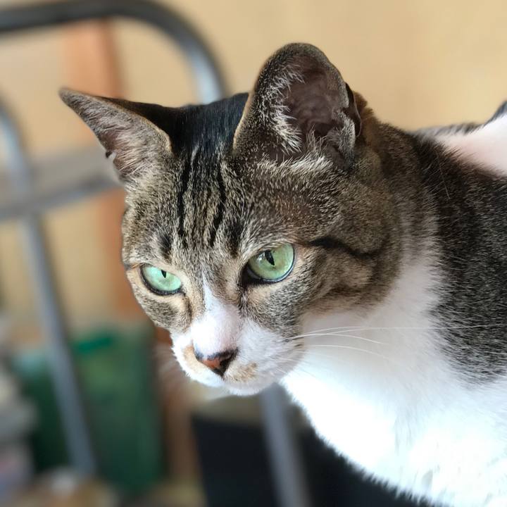 A26a3192 35ec 4231 8e66 185a7f3874e9