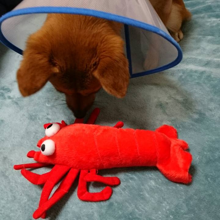 A26b8352 99d1 49a3 85e9 71843673a4cb