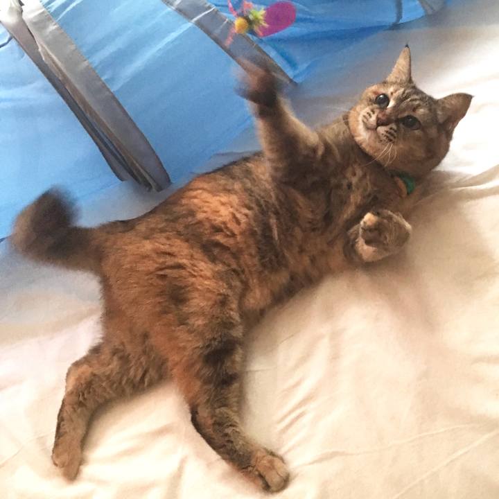 A26bdb55 6f3e 4b5e 923b be09cef45cf6