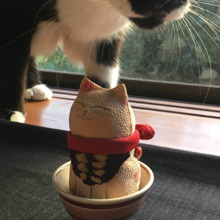 A26eb1fc 19fd 4edc 9b10 fd38aa00bfaa