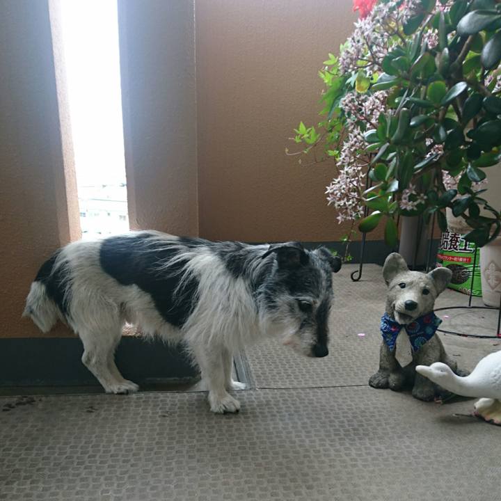 A26fa123 8d0a 475d be73 f51bb2b3a338